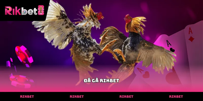 da ga rikbet